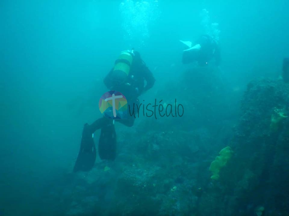 O2 Inmersión Escuela de Buceo