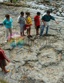 El MUJA celebra el 50º Aniversario del descubrimiento de las huellas de la Playa de La Griega