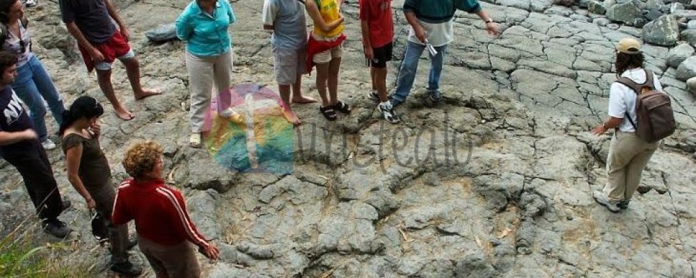 El MUJA celebra el 50º Aniversario del descubrimiento de las huellas de la Playa de La Griega