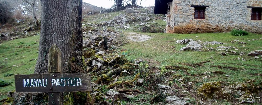 Foces del Ríu Pendón