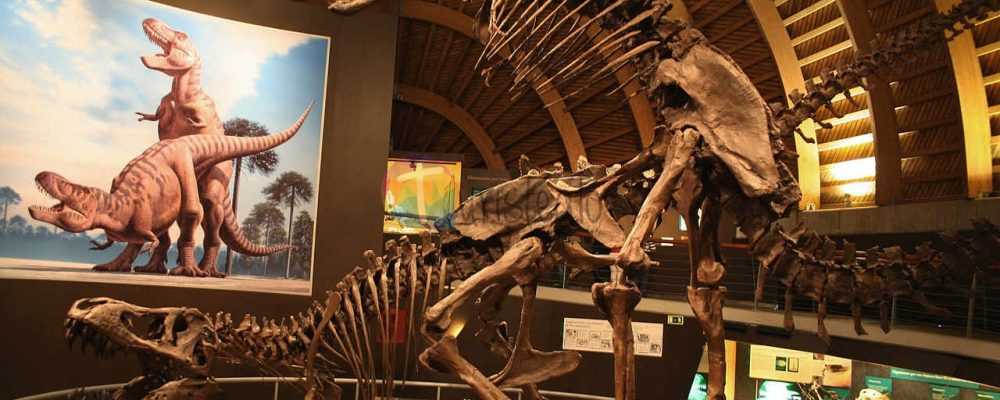 Un Puente de actividades en el MUJA y el Centro Tito Bustillo